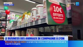 Chien, chat, souris : le business des animaux de compagnie à Lyon