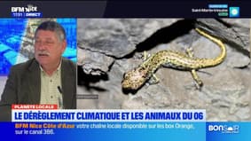 Planète locale du mercredi 19 février - Le dérèglement climatique et les animaux du 06