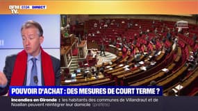 Pouvoir d'achat: des mesures de court terme?