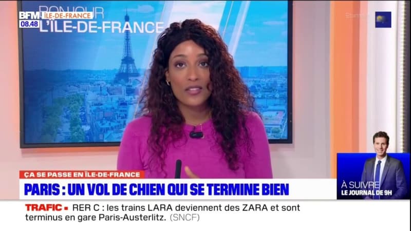 Paris: un chien volé récupéré la semaine dernière