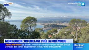 Mont-Boron à Nice : un grillage crée la polémique