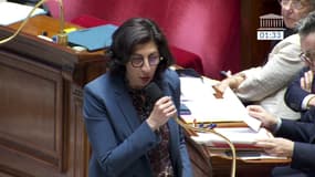 "Madame la ministre, vous avez l’indignation sélective": vif échange entre Laurent Jacobelli et Rima Abdul-Malak à l'Assemblée nationale