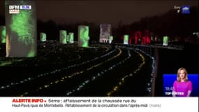 Paris: le festival "Lumières!" illumine le parc de la Villette jusqu'au 2 janvier