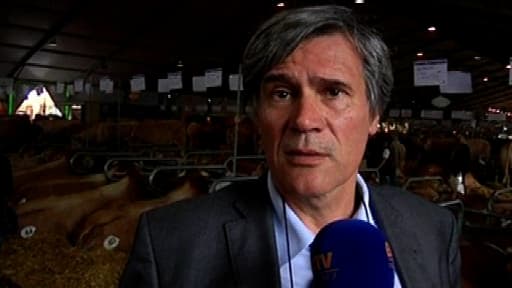 Le ministre de l'Agriculture Stéphane Le Foll sur BFMTV.