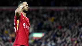 Cody Gakpo - Liverpool
