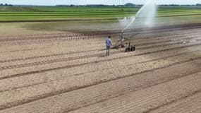 Le Nord placé en vigilance renforcée sécheresse à partir de ce vendredi 27 juin 2025. 