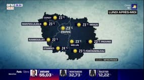 Météo: un lundi ensoleillé en Ile-de-France, un maximum de 23°C attendu à Paris cet après-midi