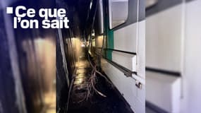 Le trafic sur le RER A a été très perturbé dans Paris ce lundi 9 décembre après la rupture d'une caténaire