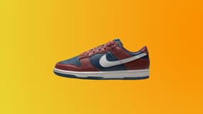 Erreur de prix ou offre dingue sur cette paire de Nike Dunk sur le site officiel ?