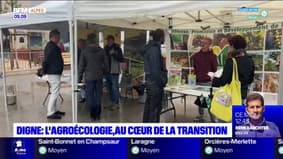 Digne-les-Bains: l'agroécologie au cœur de la transition