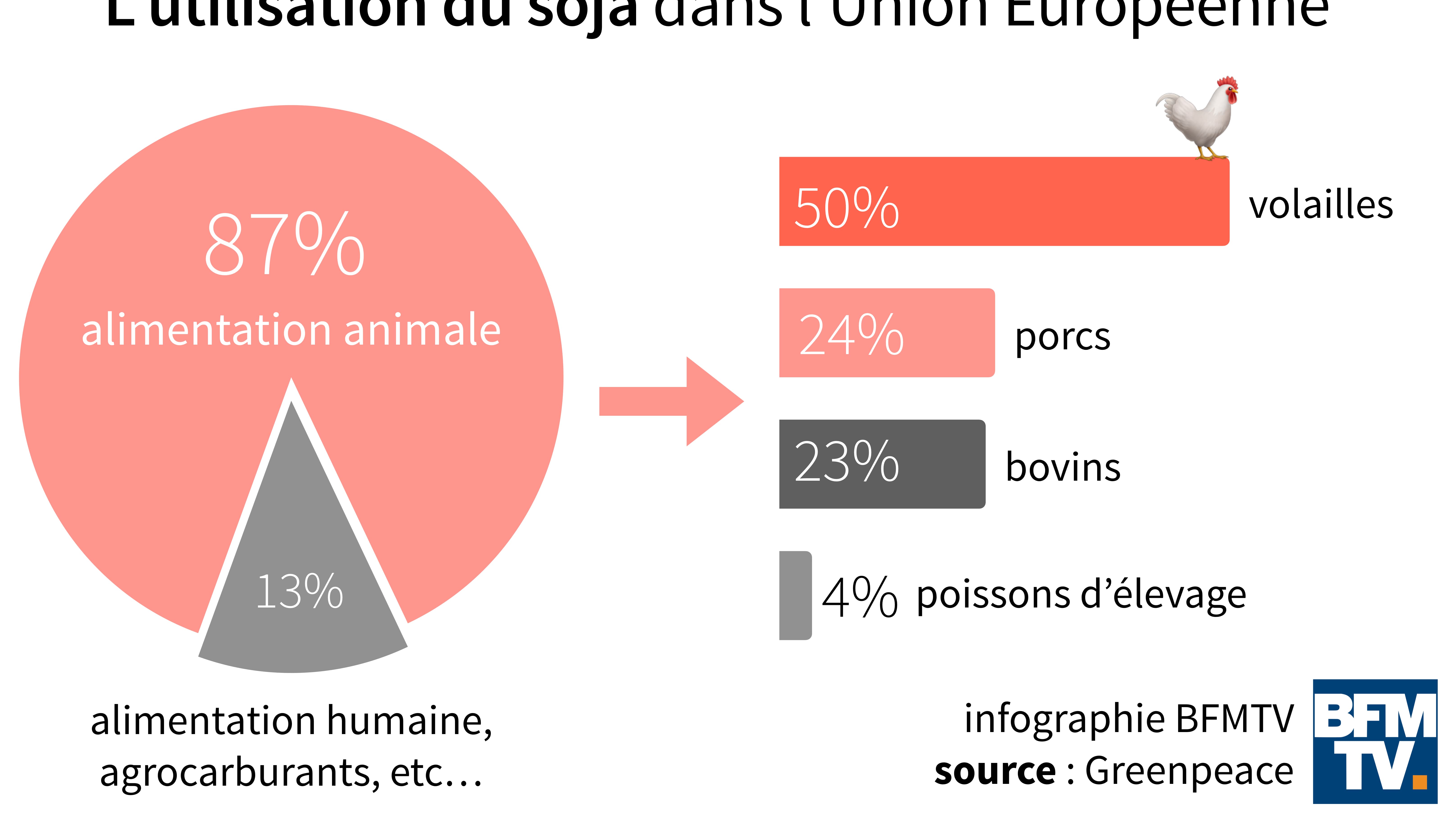 L'utilisation du soja dans l'Union Européenne. L'utilisation du soja dans l'Union Européenne.