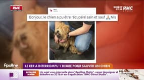 Paris: le RER A interrompu pendant une heure pour sauver un chien