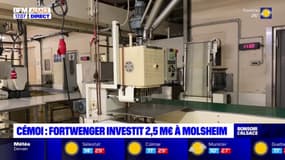 Molsheim: les pains d'épices Fortwenger investissent 2,5 millions d'euros dans la chocolaterie Cémoi