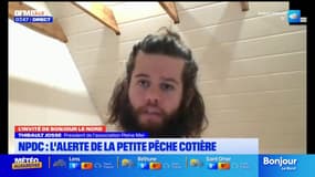 L'alerte de la petite pêche côtière dans le Nord-Pas-de-Calais