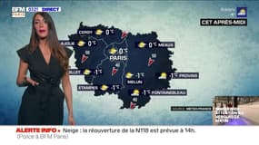 Météo Paris-Ile de France du 10 février : Des températures glaciales