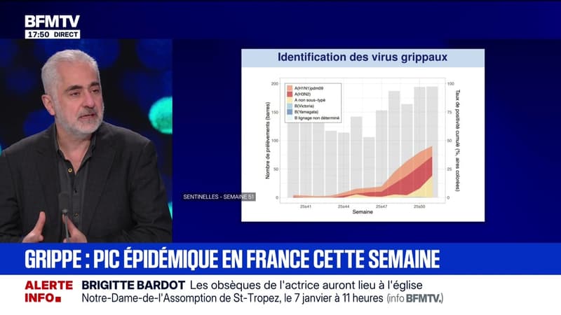 Marschall Truchot : Grippe, pic épidémique en France cette semaine - 29/12