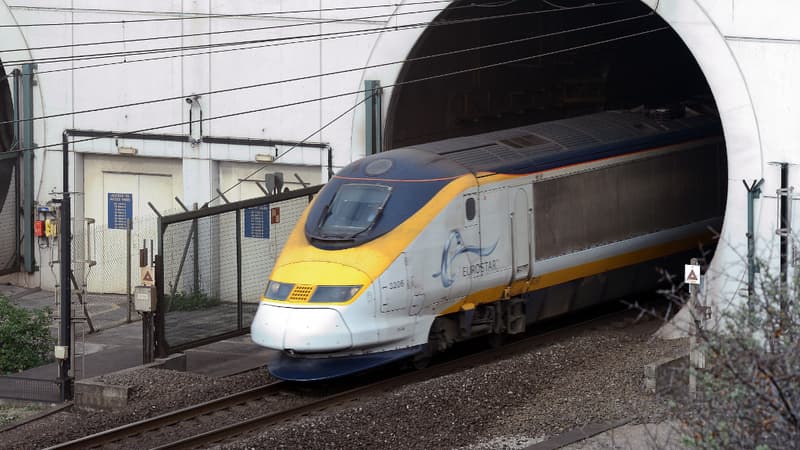 Un train Eurostar dans le tunnel sous la Manche, le 10 avril 2014.