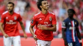 Joao Felix