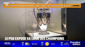 "La voir ici c'est beaucoup d'émotion": le PSG expose sa Ligue des champions au Parc des Princes