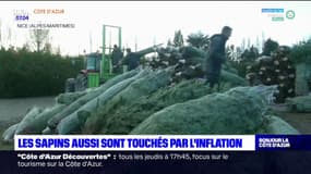 Alpes-Maritimes: les sapins sont aussi touchés par l'inflation 