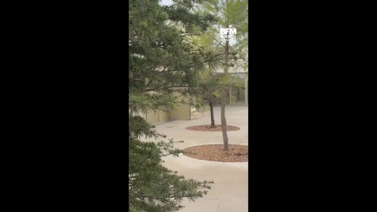 placeholder video