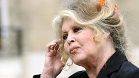 L'actrice française Brigitte Bardot quitte le palais de l'Elysée après une rencontre avec le président de la République Nicolas Sarkozy, le 27 septembre 2007 à Paris