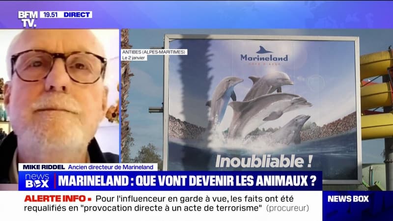 Fermeture de Marineland: les animaux 