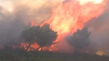 Feu de forêt. (Photo d'illustration) AFP