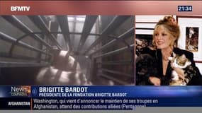 Animaux maltraités à l'abattoir d'Alès: "Je suis infiniment choquée, triste et scandalisée", Brigitte Bardot 