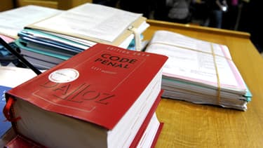 Ce vendredi, la justice a condamné deux jeunes hommes pour "sévices envers un animal apprivoisé" (photo d'illustration).