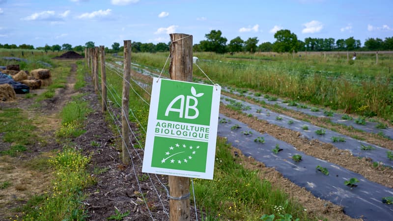 "Un signal qu'il ne faut pas prendre à la légère": le nombre de fermes bio a baissé pour la première fois en 2025 alors que la consommation est pourtant bien repartie