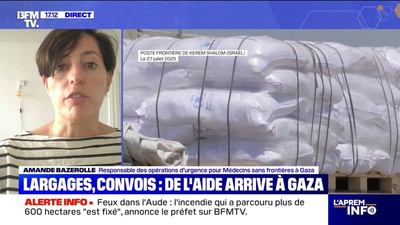 Entrée de l'aide humanitaire à Gaza: 