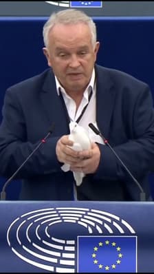 Un eurodéputé lâche une colombe en plein hémicycle 