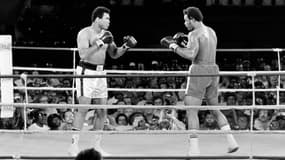 Muhammad Ali et George Foreman lors de leur combat pour le titre de champion du monde poids lourds, à Kinshasa, le 30 octobre 1974