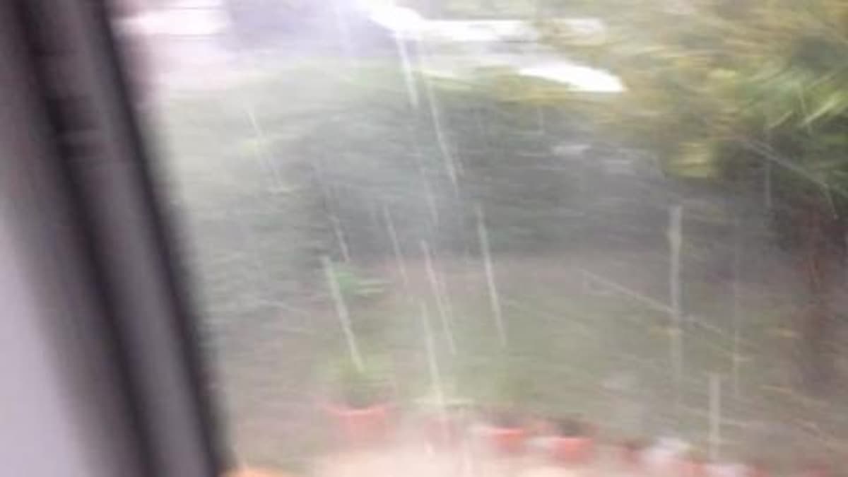 placeholder video
