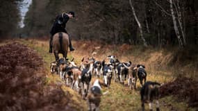 Une chasse à courre