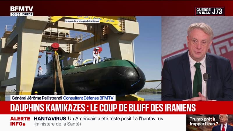 Guerre au Moyen- Orient: l'Iran dispose-t-il réellement de dauphins kamikazes?