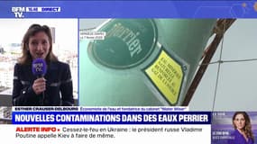 Contaminations dans des eaux Perrier: "L'eau minérale en bouteille qui est vendue en France subit beaucoup de contrôles", rappelle Esther Crauser-Delbourg, économiste de l'eau
