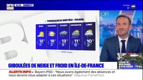 Ile-de-France: le froid s'installe, des giboulées de neige ce lundi 