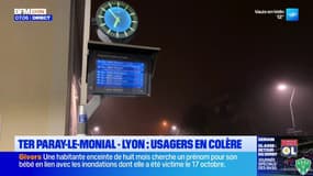 TER Paray-le-Monial/Lyon: des perturbations sur la ligne, les usagers en colère