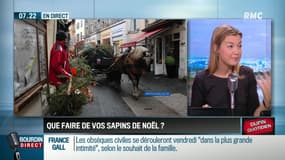 Dupin Quotidien : Que faire de vos sapins de Noël ? - 09/01