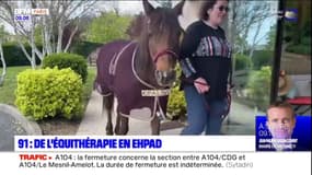 Essonne: de l'équithérapie proposée dans un Ehpad de Marcoussis