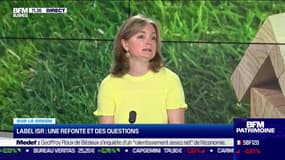 Sur le green : Label ISR, une refonte et des questions - 15/06