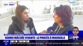 Souris mâchée vivante à Marseille: une des avocates de la partie civile veut "une peine qui soit dissuassive"