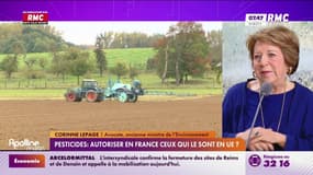 Autoriser les pesticides en France? "C'est une question de santé publique"