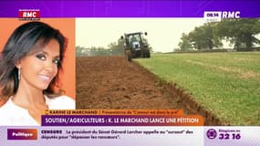 Exclu RMC/Soutien aux agriculteurs: Karine Le Marchand lance une pétition 