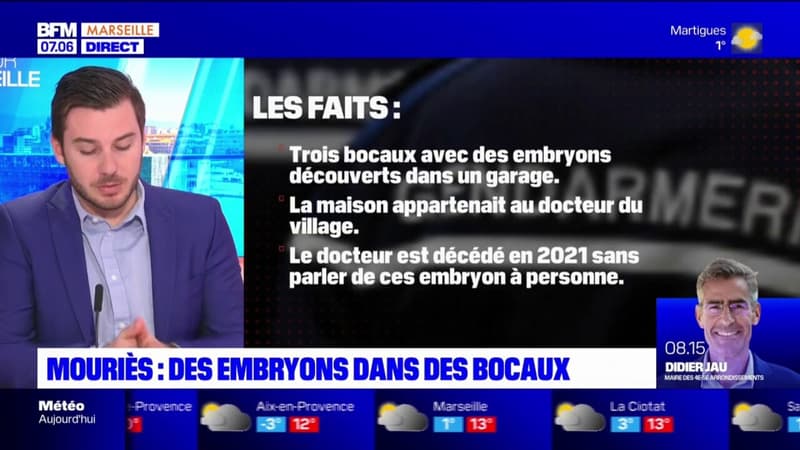 Bouches-du-Rhône: une enquête ouverte après la découverte d'embryons chez un médecin à Mouriès