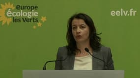 Cécile Duflot au conseil fédéral d'Europe-Ecologie-Les Verts (EELV) samedi à Paris.