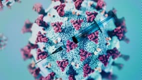 Trois cas de coronavirus ont été détectés à la cité judiciaire de Nancy, de nouveau contrainte à réduire fortement ses activités
