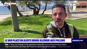 Le Var placé en alerte rouge d’allergie aux pollens